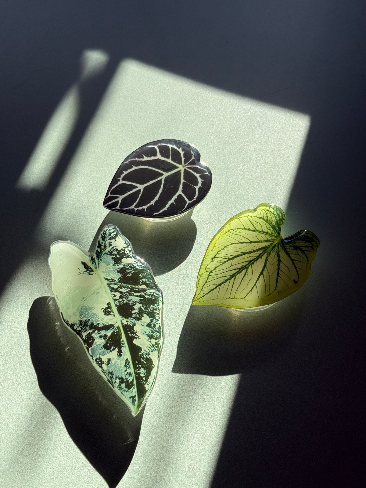Plant Phone Grip