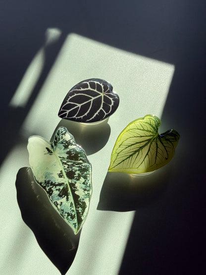 Plant Phone Grip