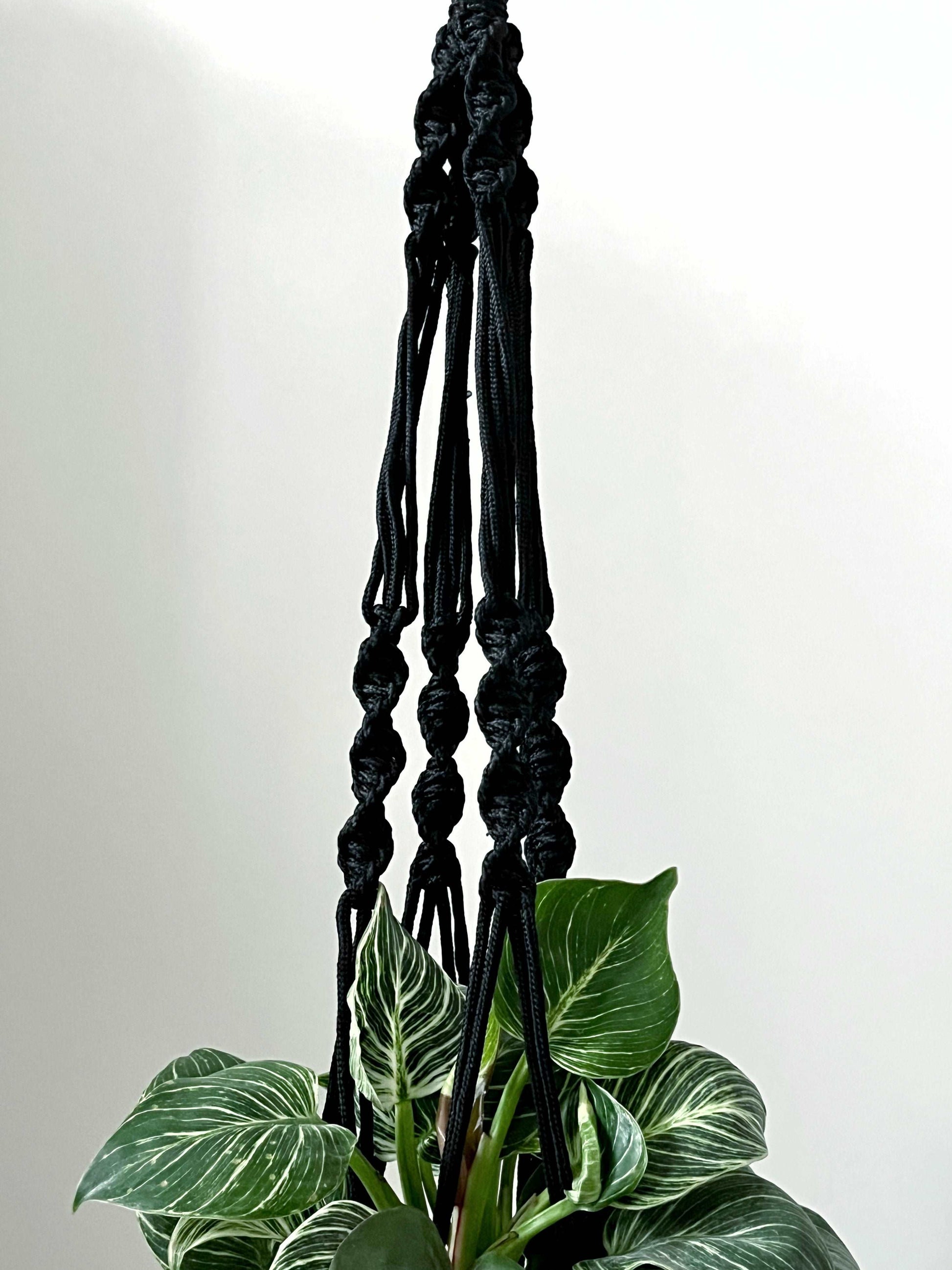 Macrame Plant Hanger - Black