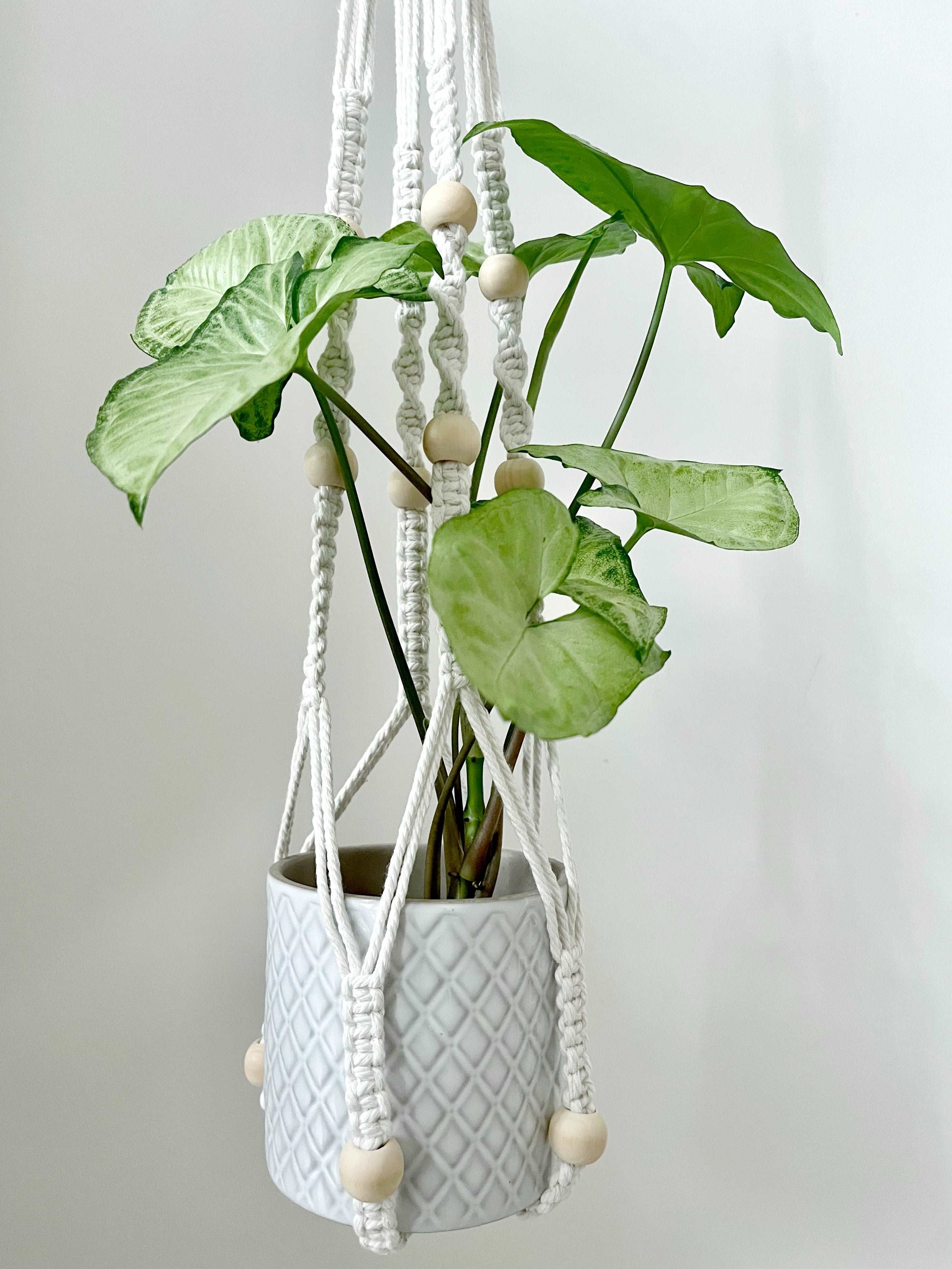 Macrame Plant Hanger with Beads
