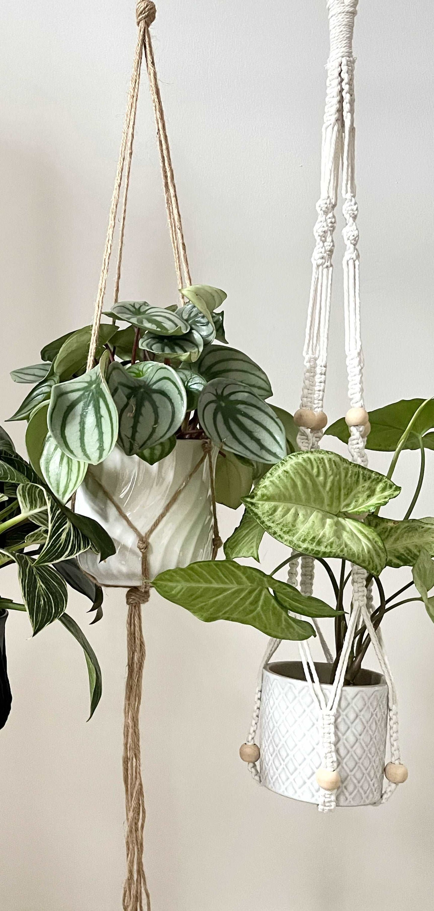 Macrame Plant Hanger with Beads