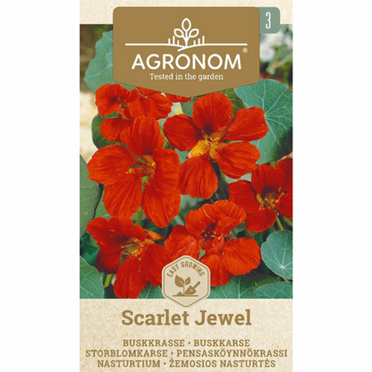 Nasturtium Scarlet Jewel - Seedor