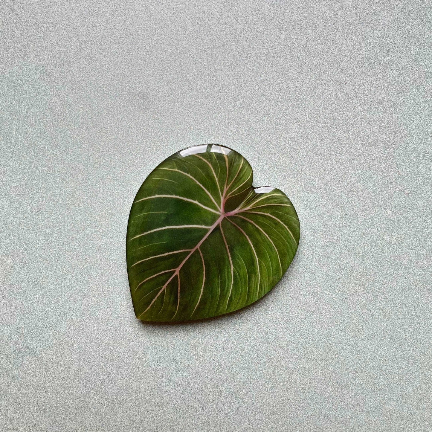 Plant Leaf Magnet