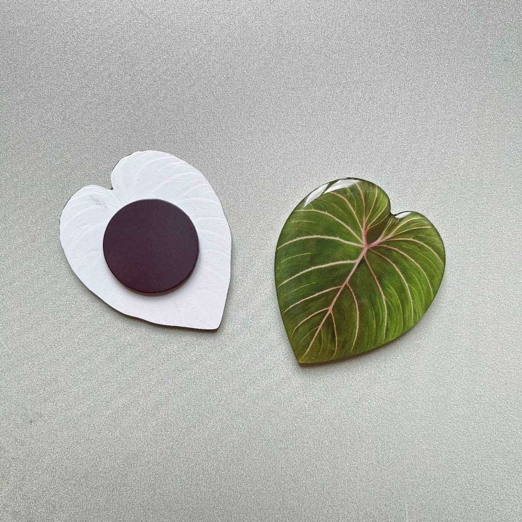 Plant Leaf Magnet