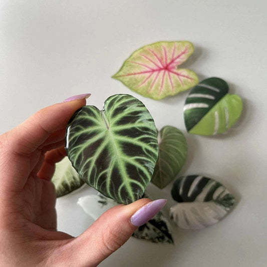 Plant Phone Grip philodendron verrucosum - Seedor