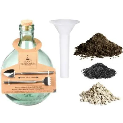 terrarium starter kit with plants Plant Terrarium Set 5L – Seedor