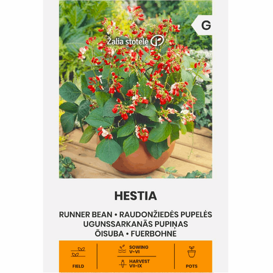 Runner Bean - Seedor