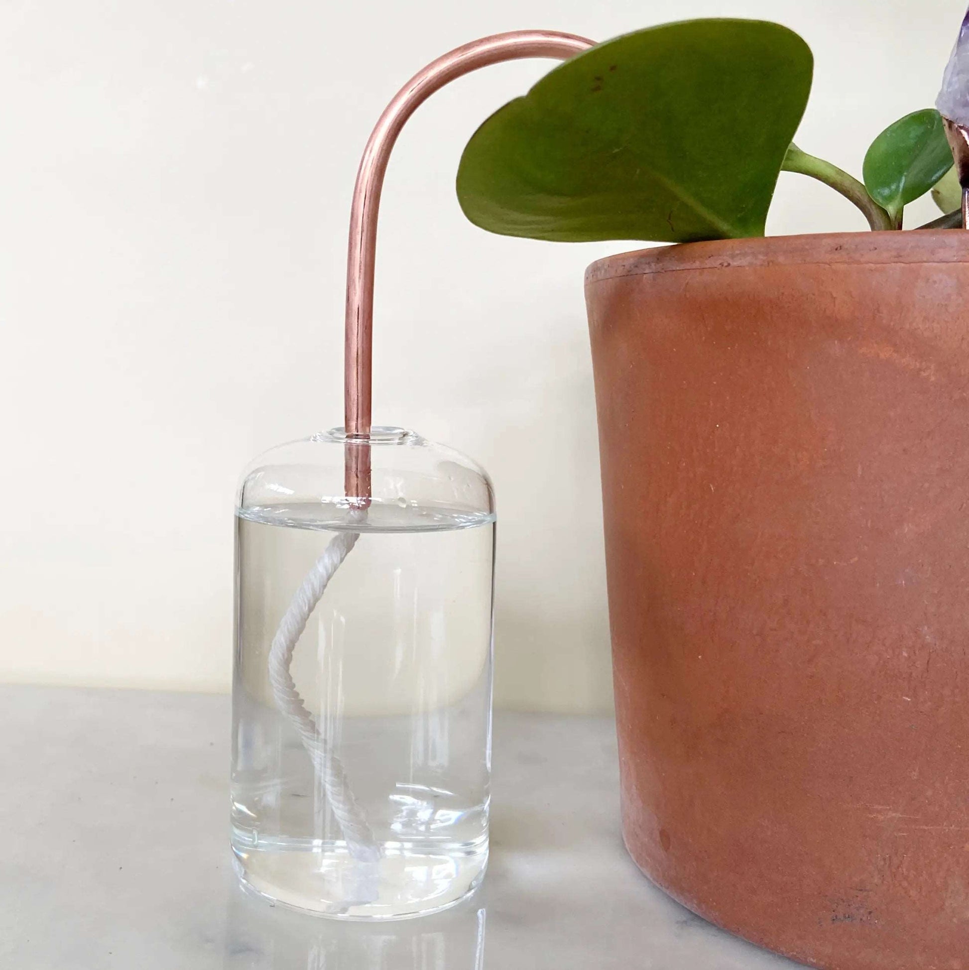 Self-Watering Plant Vessel - Seedor