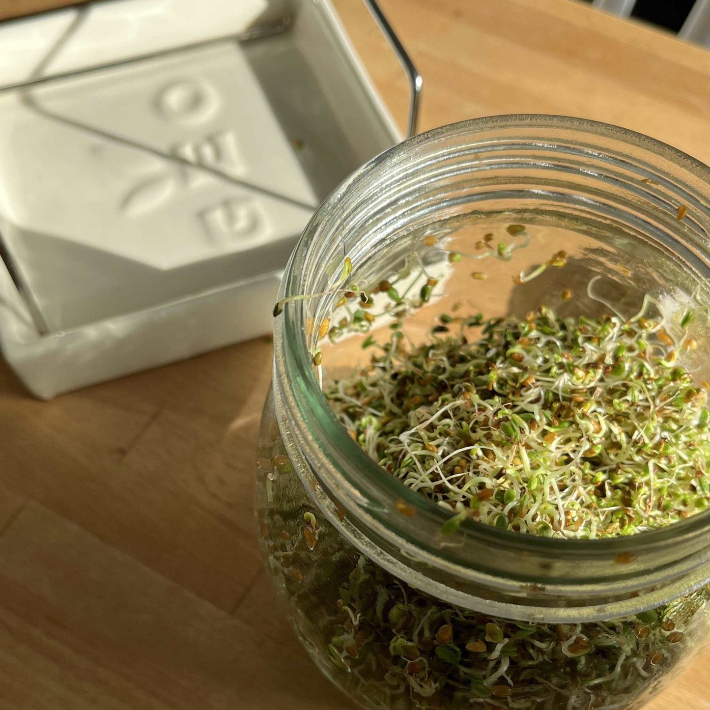 Sprouting Jar Set - Seedor