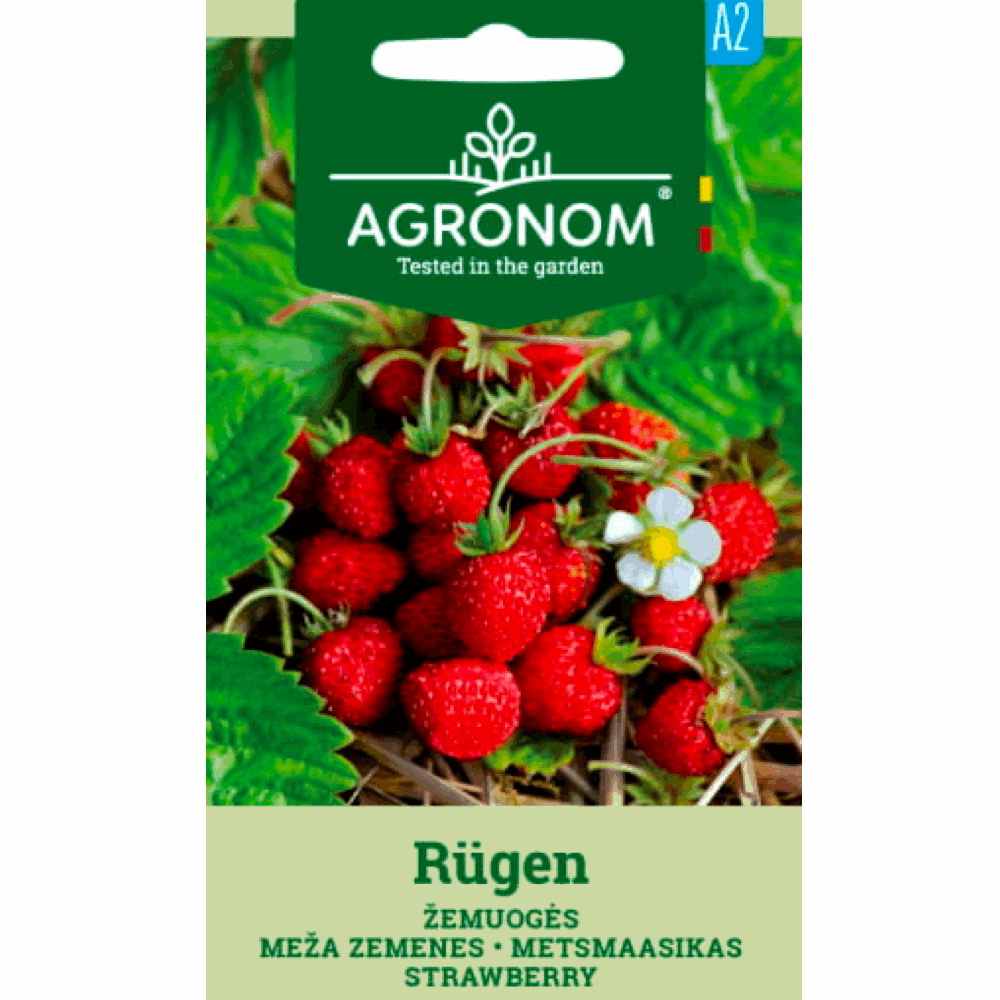 Strawberry Rugen - Seedor