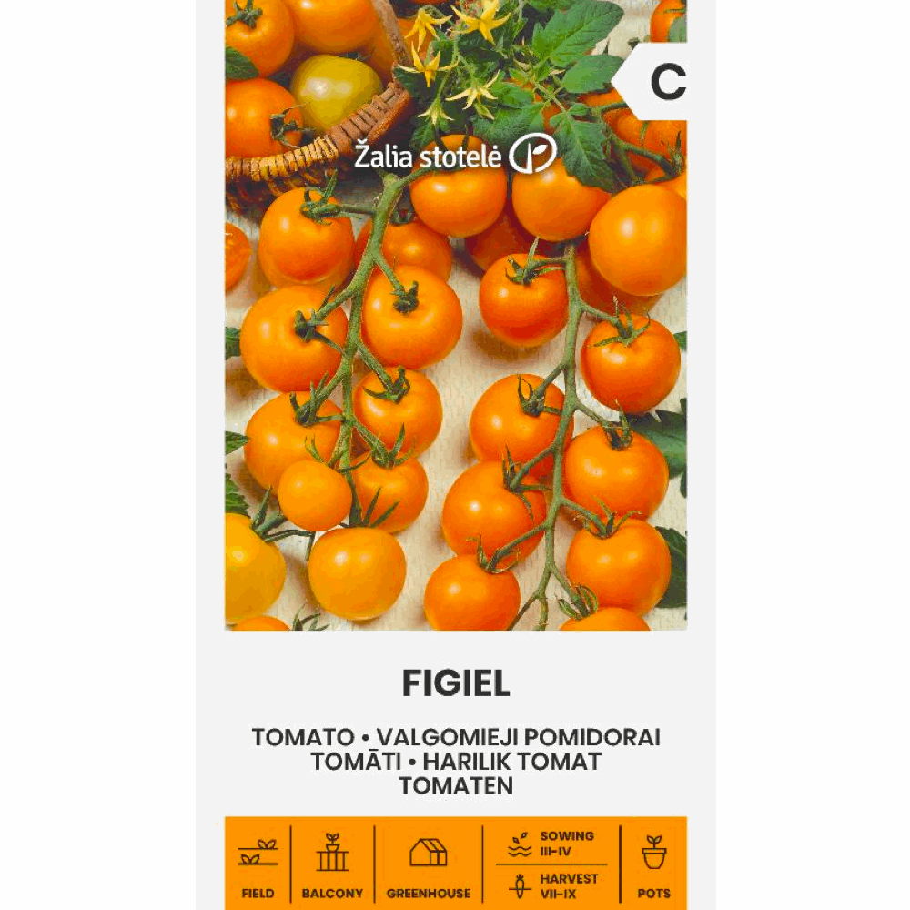 Tomato Figiel - Seedor