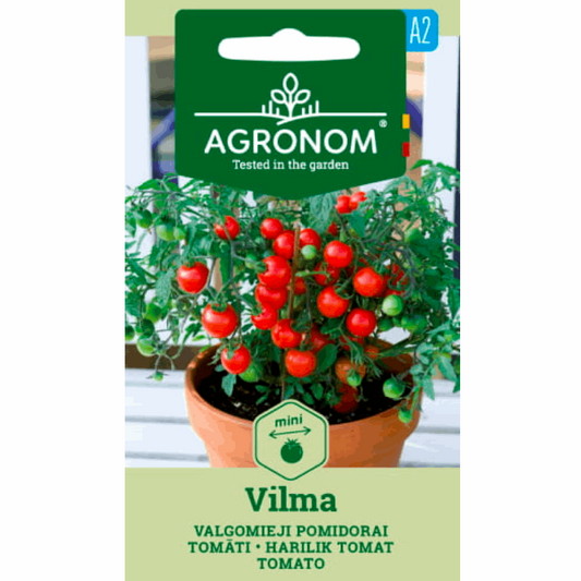 Tomato Vilma - Seedor