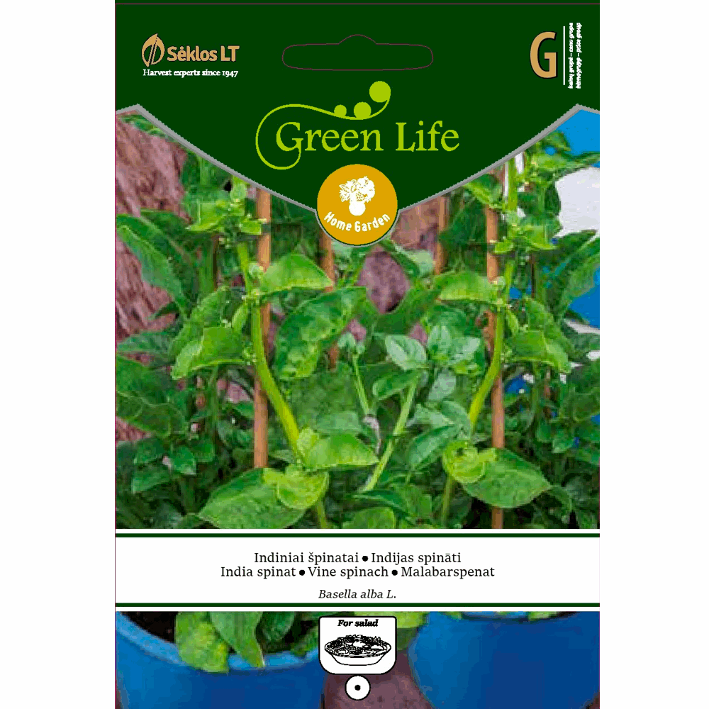 Vine Spinach - Seedor