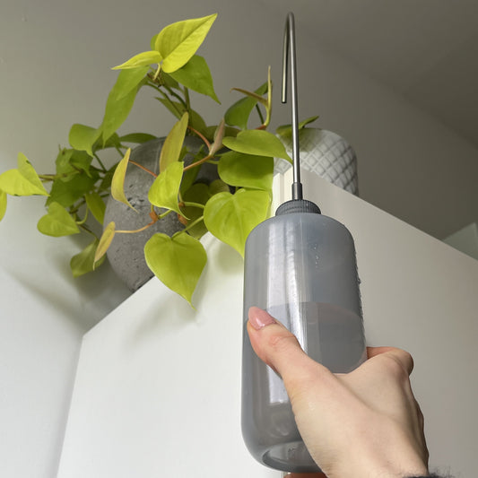 Watering tool for hanging plants