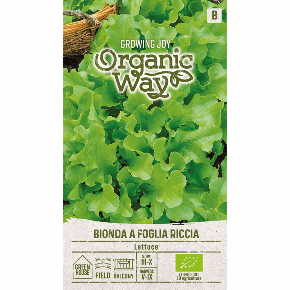Bionda a Foglia Riccia Lettuce - Organic - Seedor