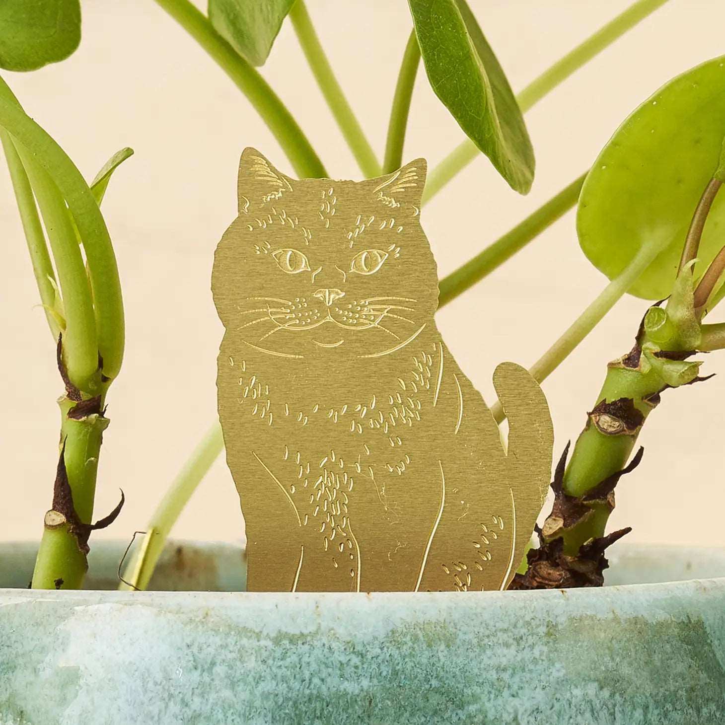 Plant Animal Ornament - Cat - Seedor