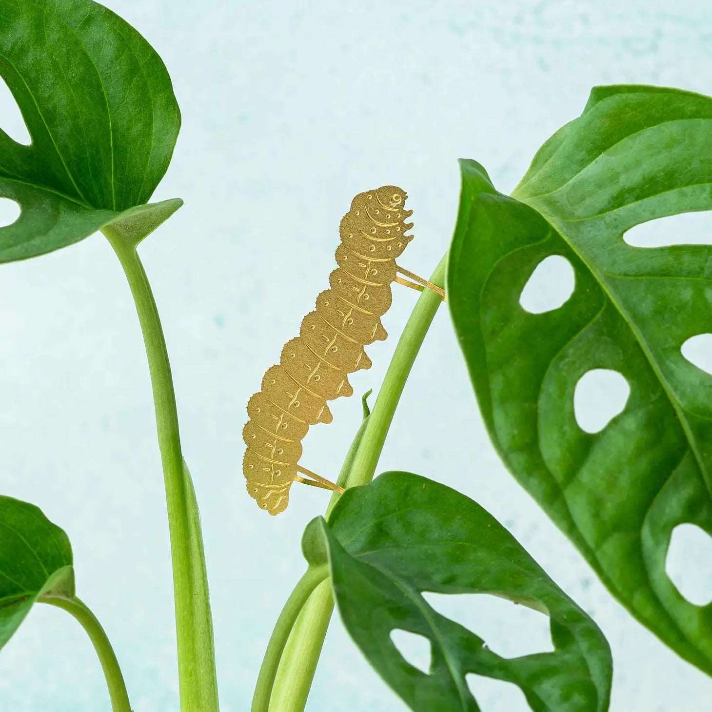 Plant Animal Ornament - Caterpillar - Seedor