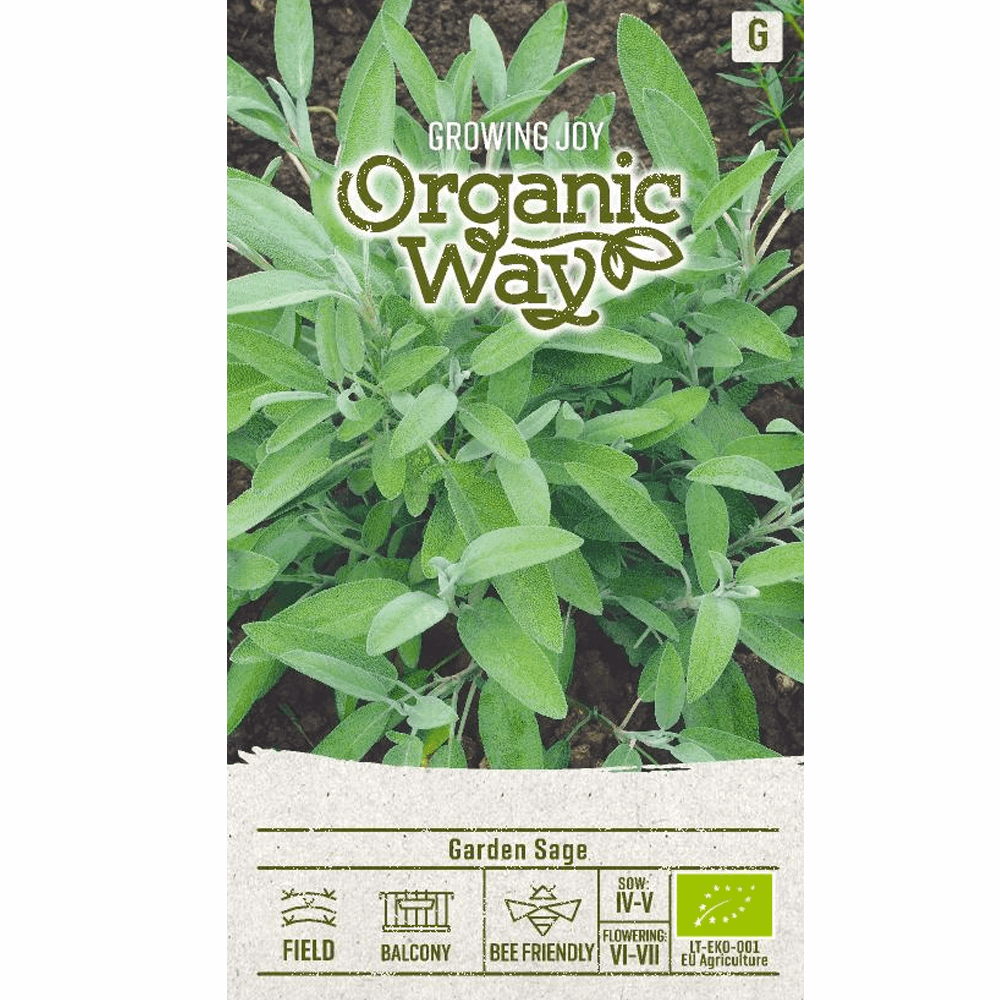 Garden Sage - Organic - Seedor