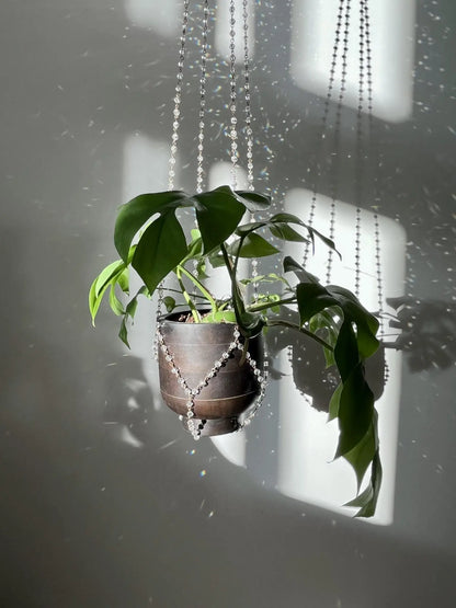 Plant Hanger Chandelier
