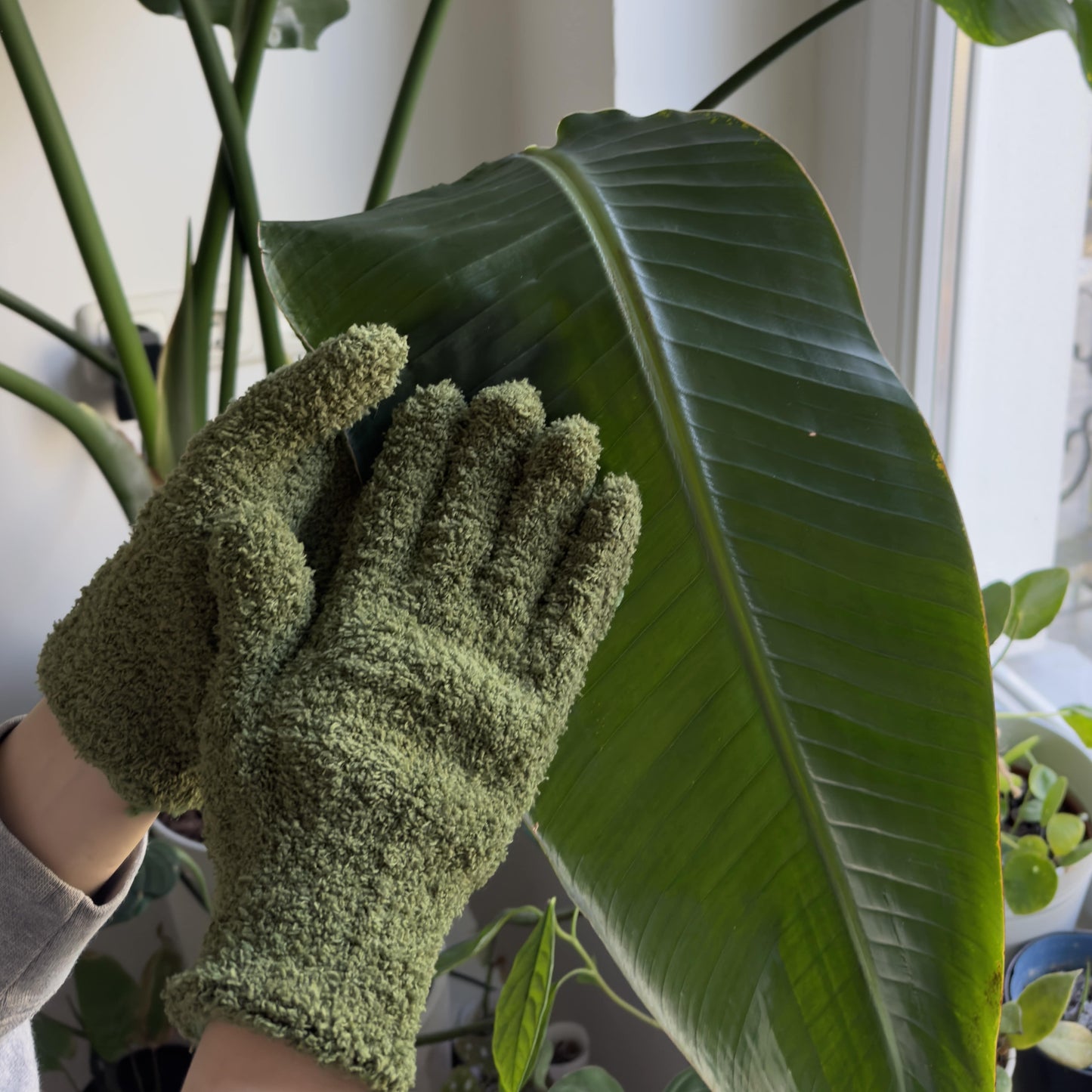 Plant dusting gloves