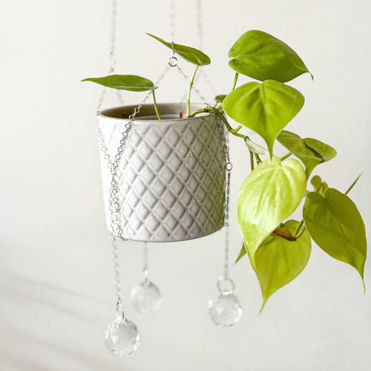 Plant Hanger Suncatcher