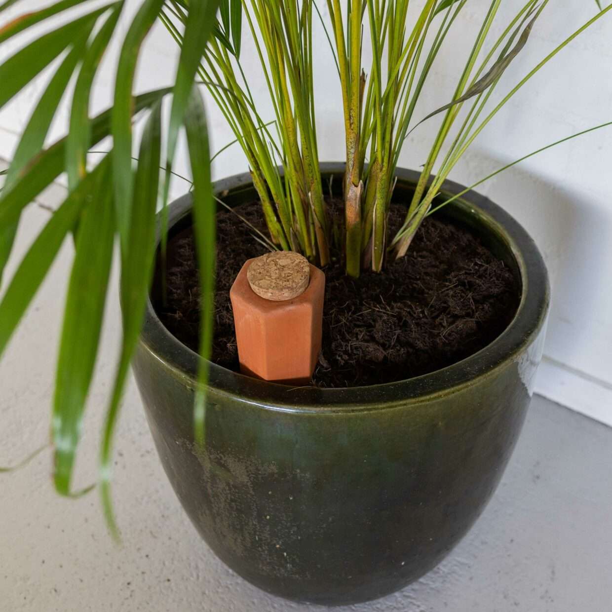 Automatic Watering Spike