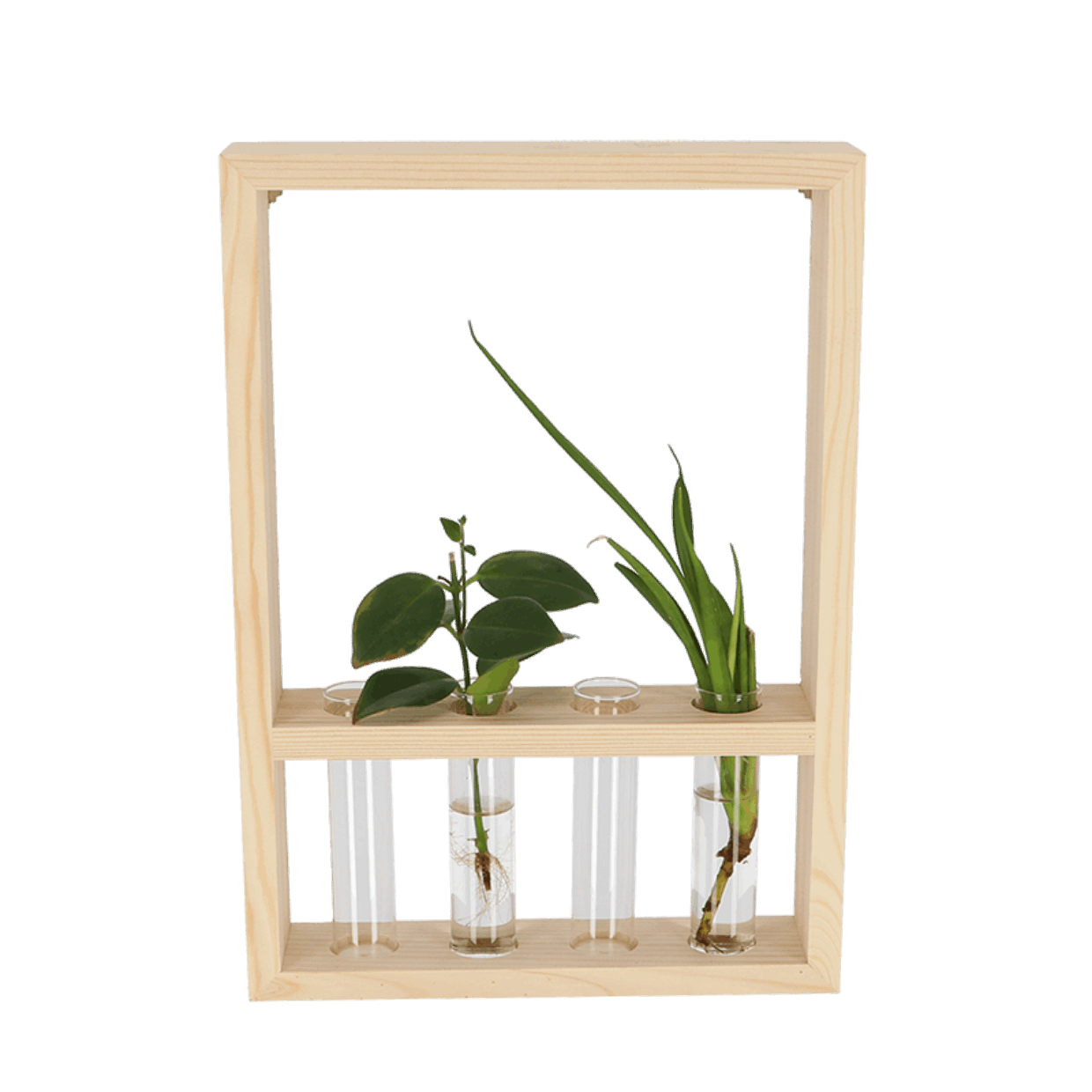 Plant propagation frame