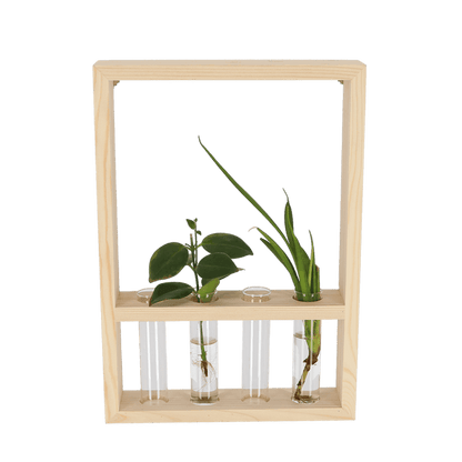 Plant propagation frame