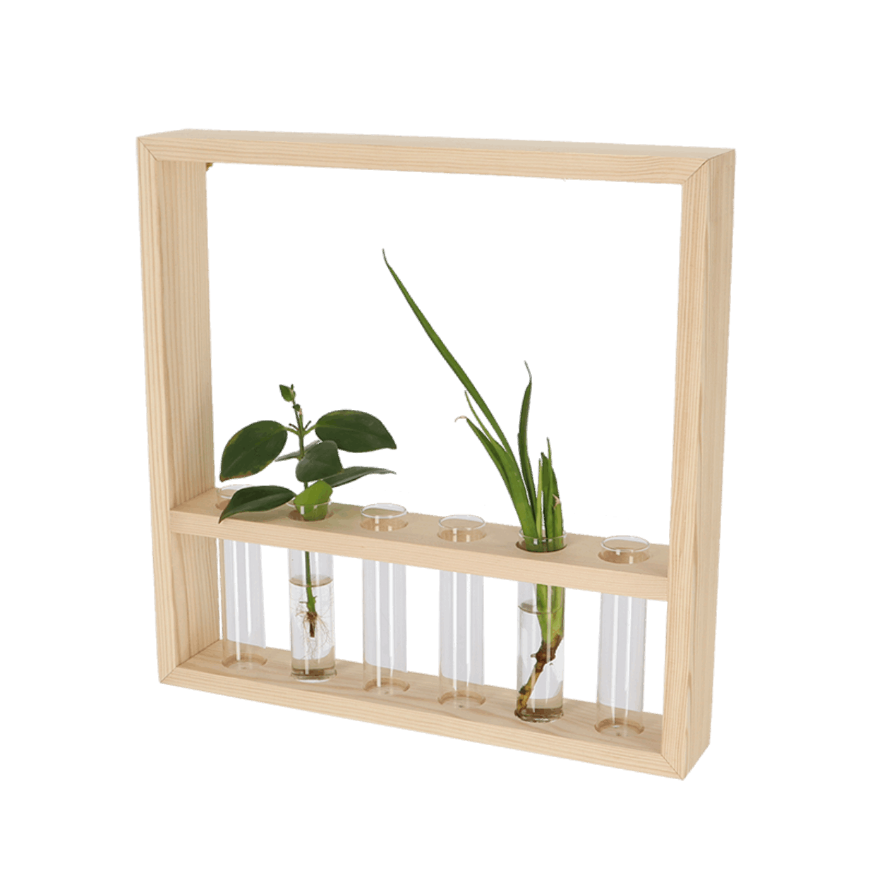 Plant propagation frame