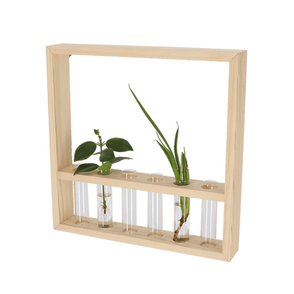 Plant propagation frame