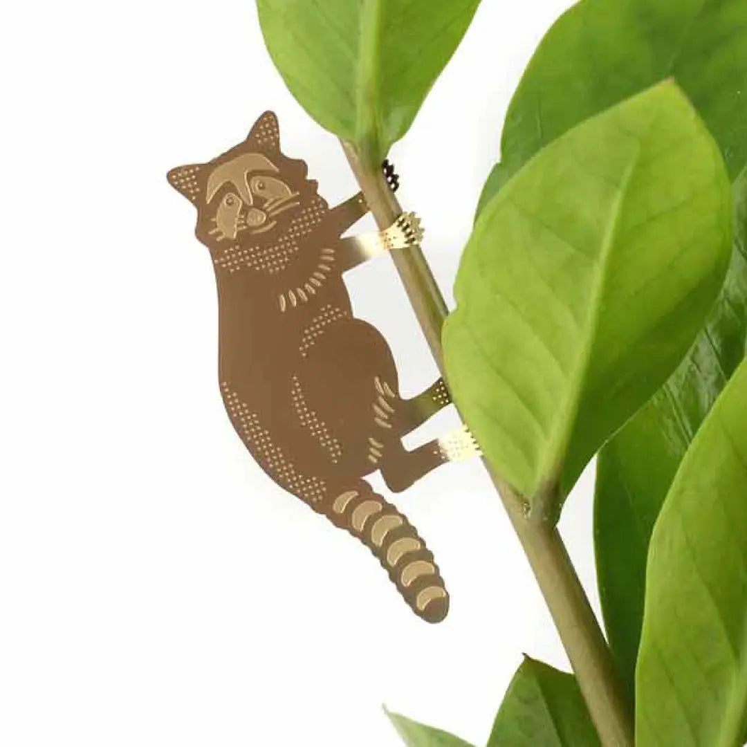 Plant Animal Ornament - Raccoon