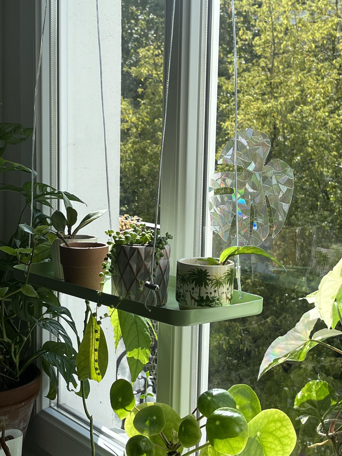 Rectangular Hanging Tray for Plants