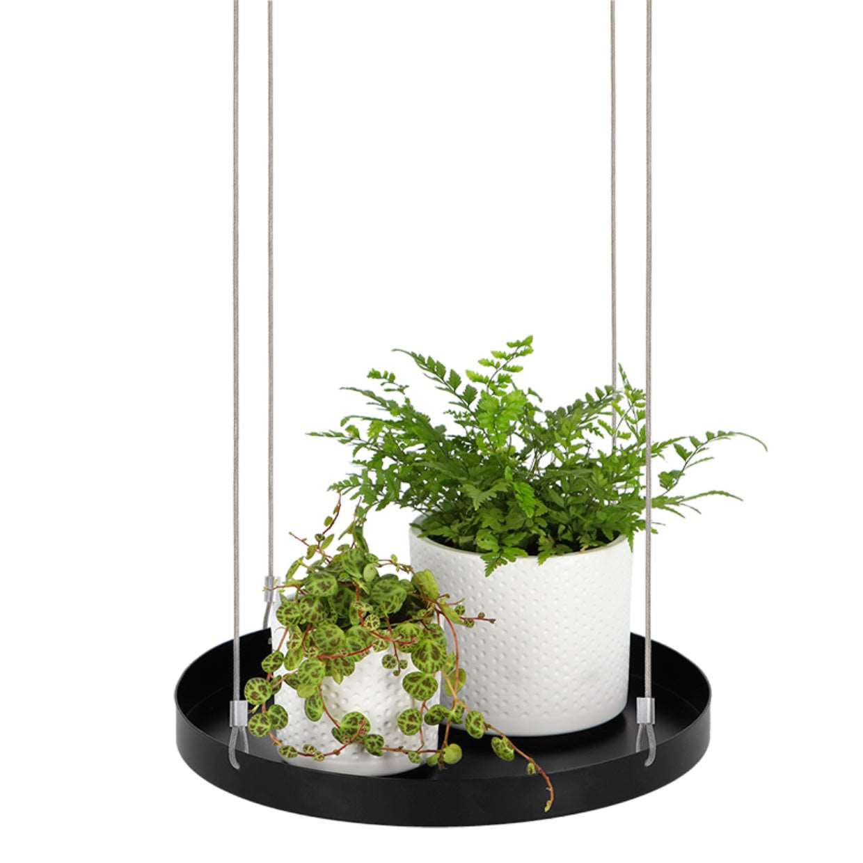 Round Hanging Tray for Plants - Large - Seedor