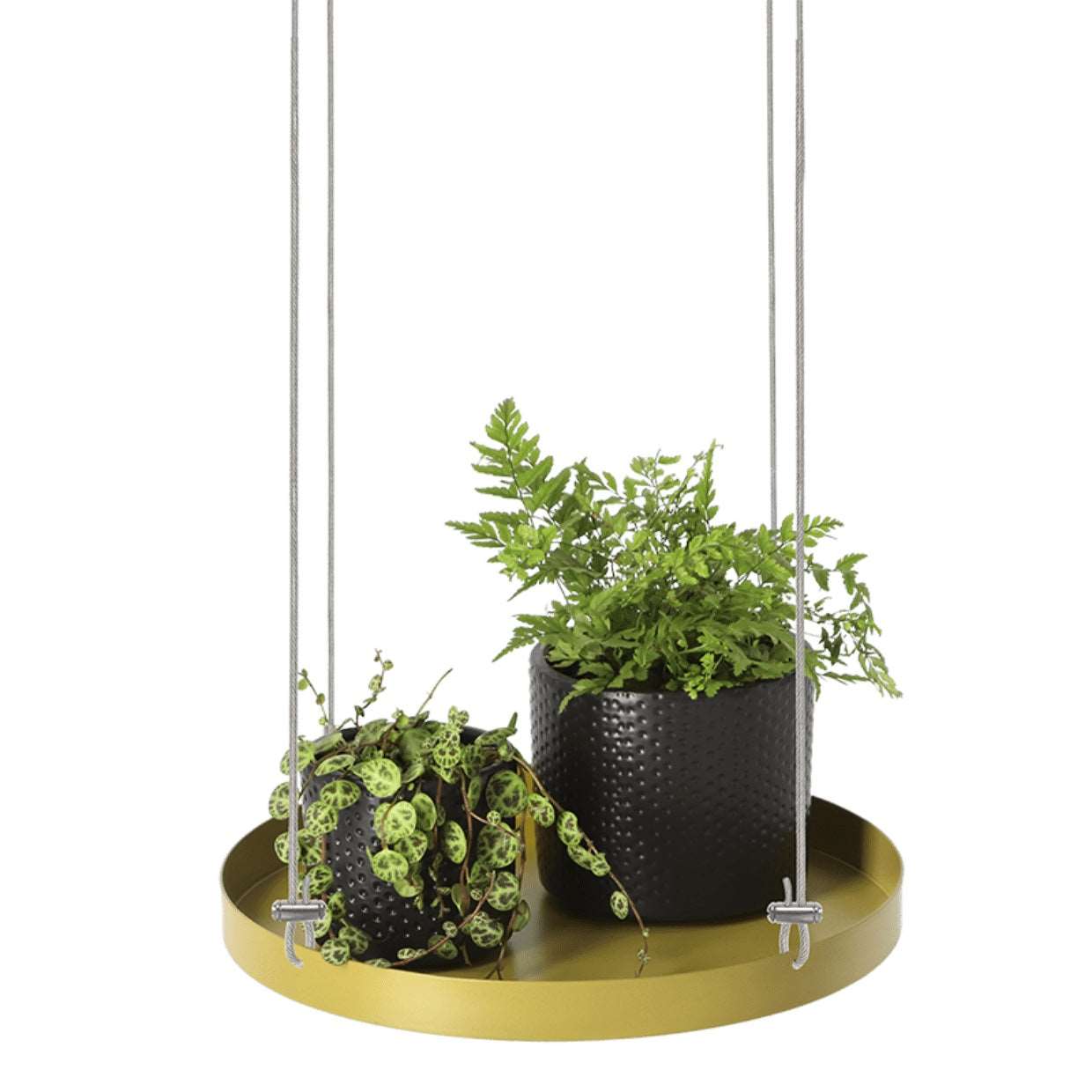 Round Hanging Tray for Plants - Large - Seedor