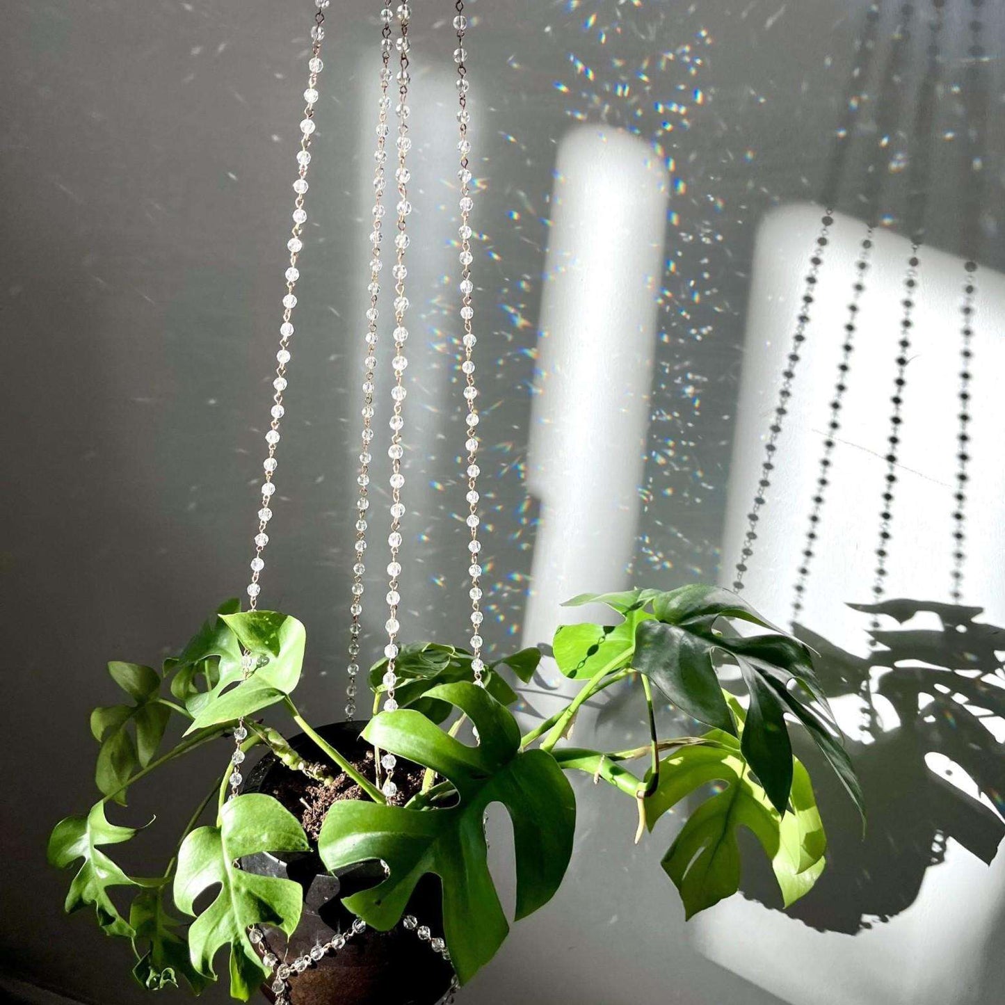 Plant Hanger Chandelier - Seedor