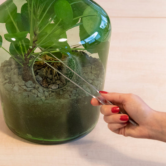 Terrarium tweezer