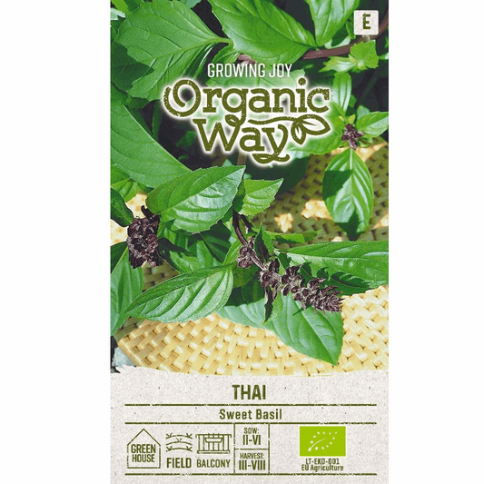 Basil Sweet Thai - Organic - Seedor
