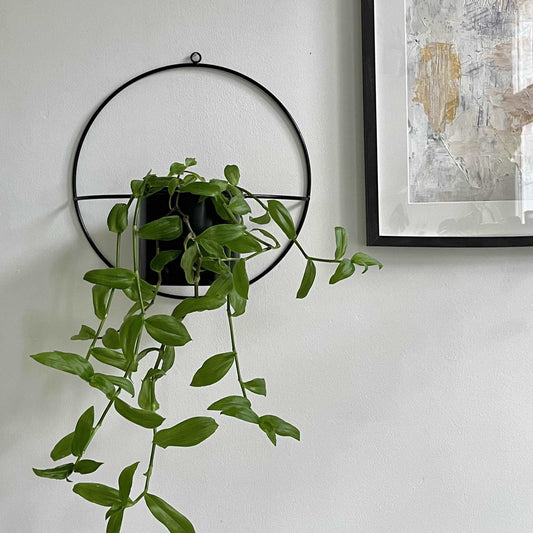 Wall Planter - Seedor