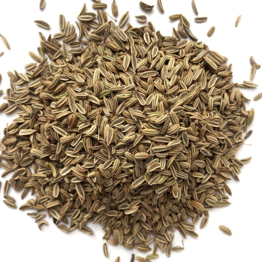 Fennel Sprouting Seeds - Seedor