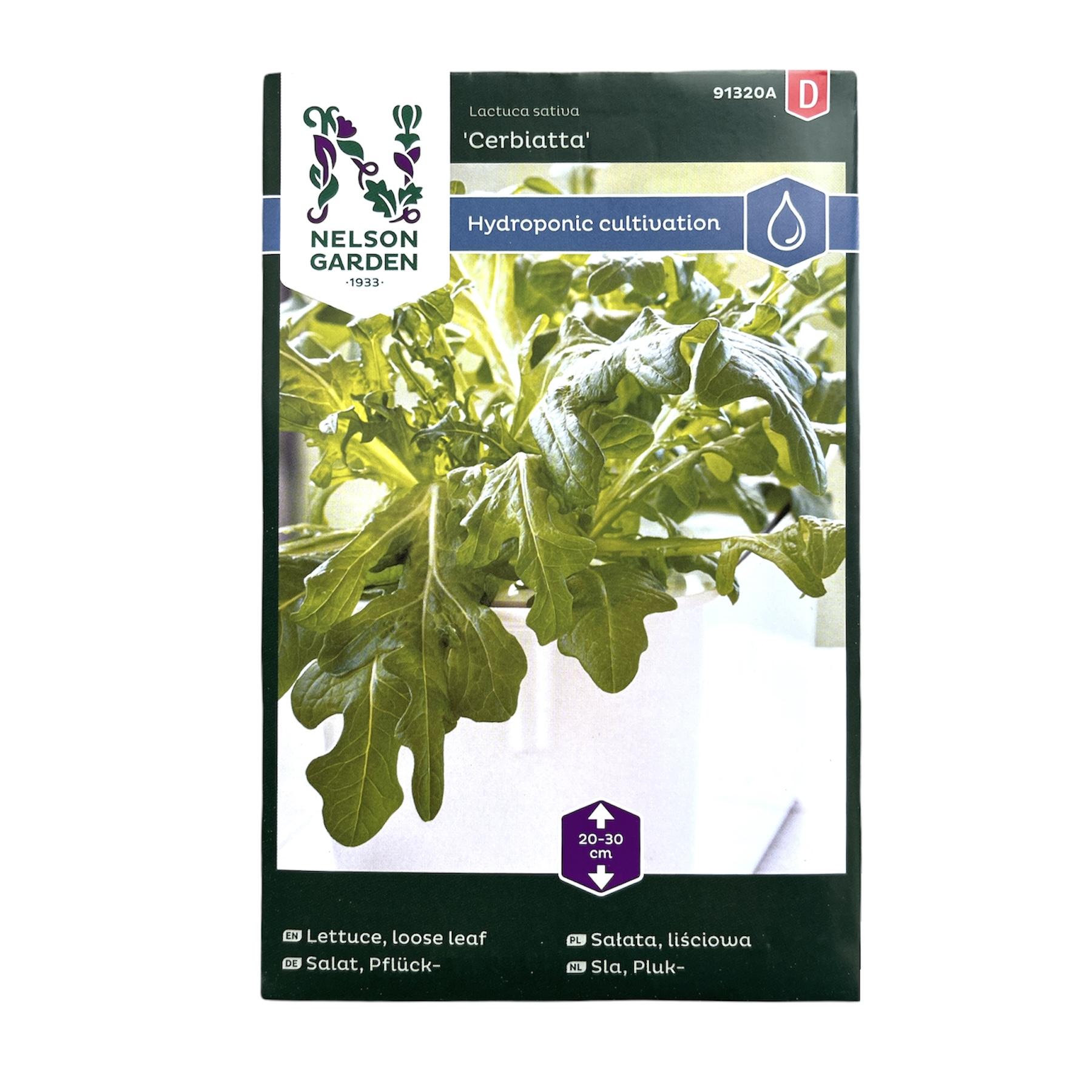 Loose Leaf Lettuce - Hydroponic Cultivation - Seedor