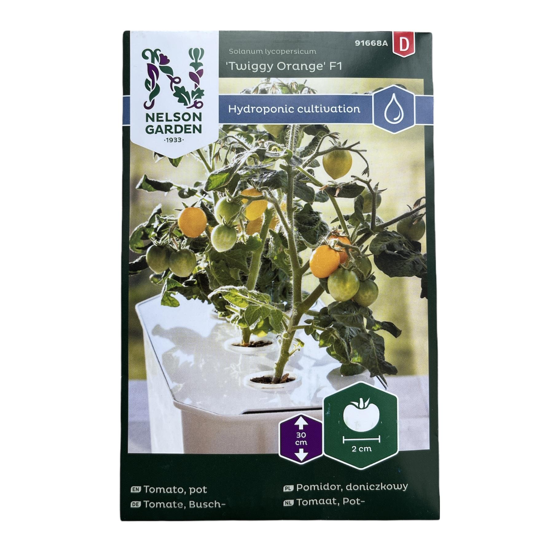 Orange Cherry Tomato - Hydroponic Cultivation - Seedor