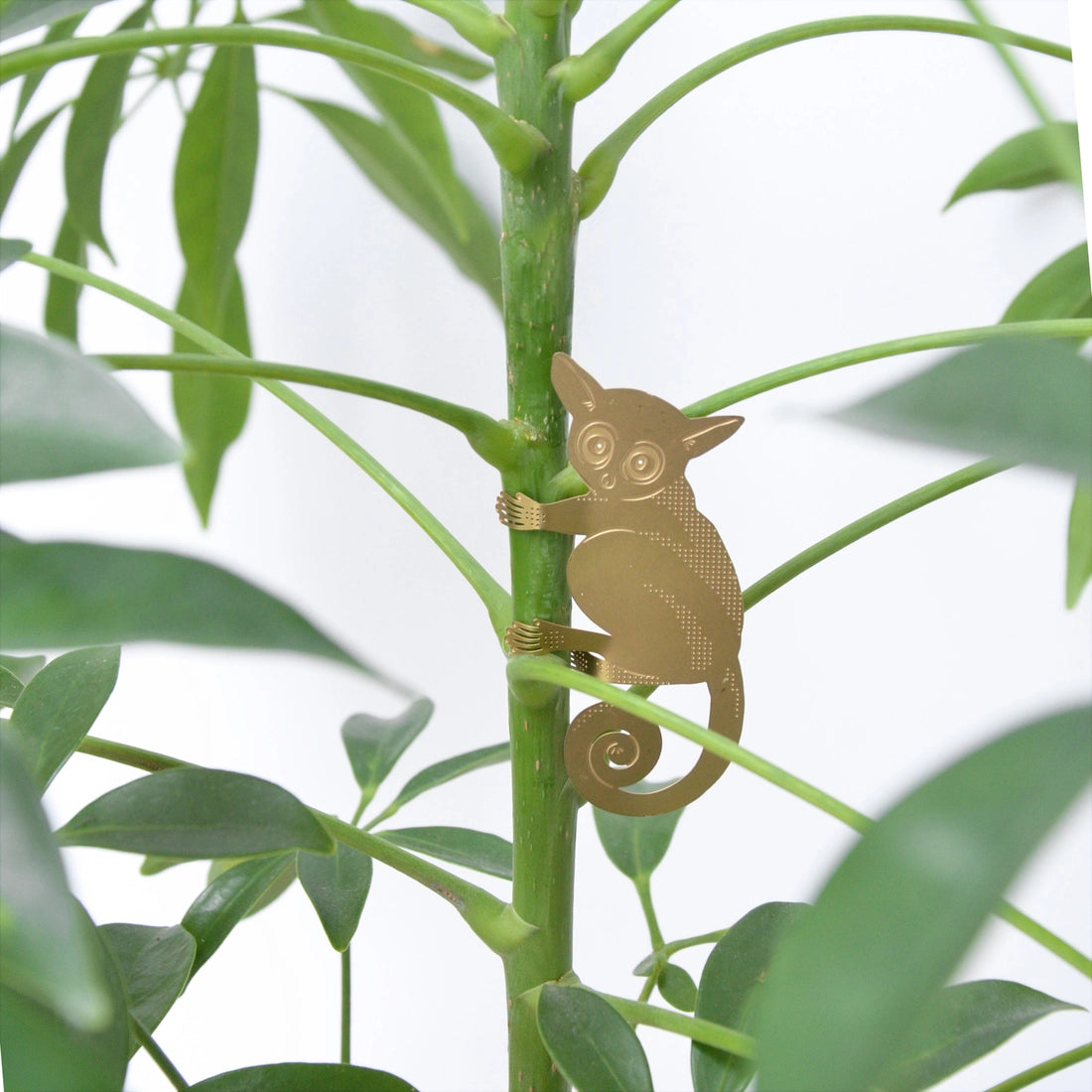 Plant Animal Ornament - Bush Baby - Seedor