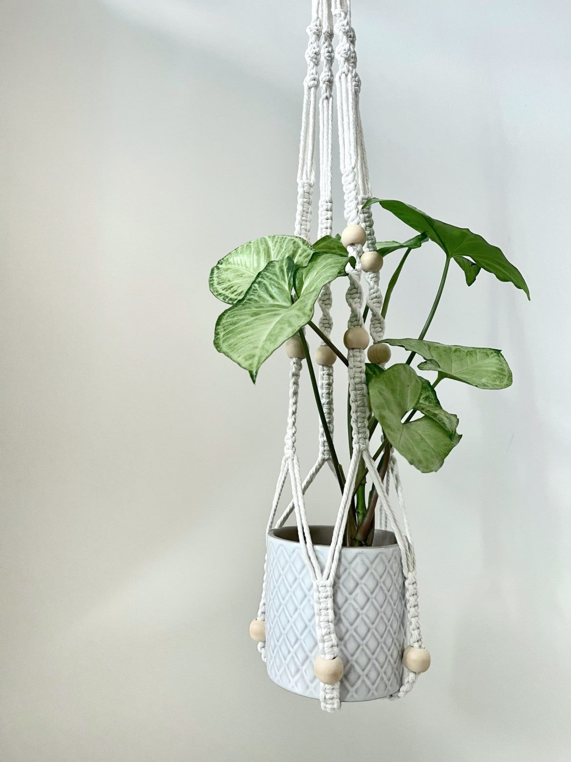 Macrame Plant Hanger with Beads - Seedor