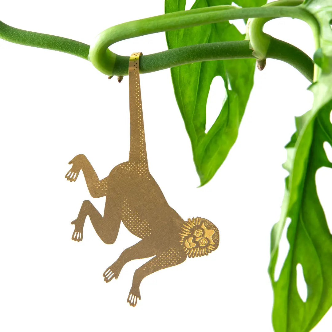 Plant Animal Ornament - Monkey - Seedor