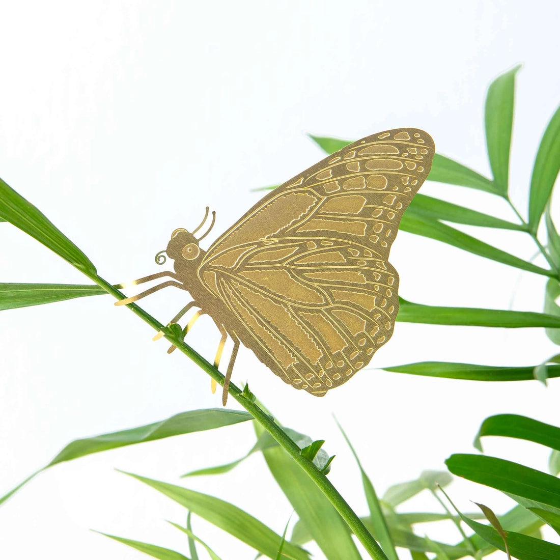 Plant Animal Ornament - Butterfly - Seedor