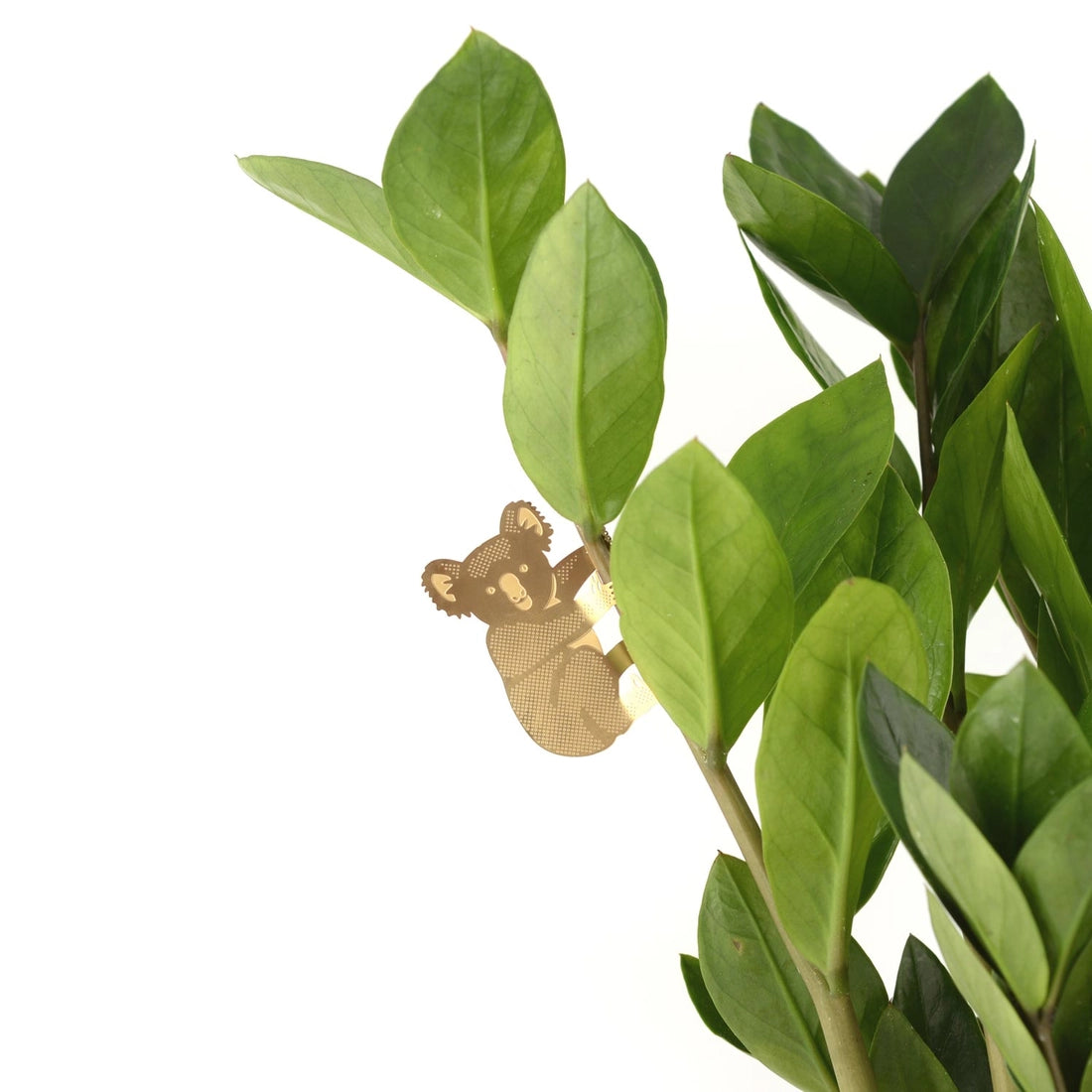 Plant Animal Ornament - Koala - Seedor