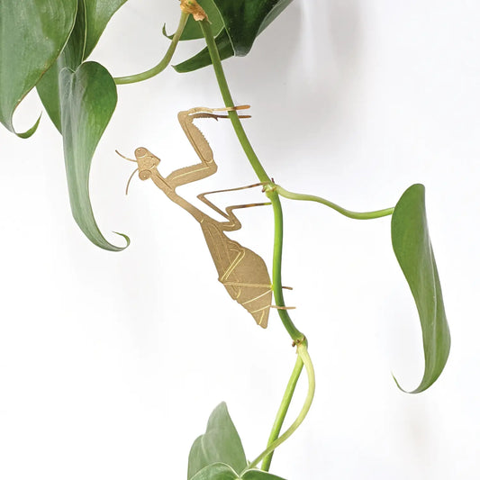 Plant Animal Ornament - Praying Mantis - Seedor