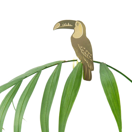 Plant Animal Ornament - Toucan - Seedor