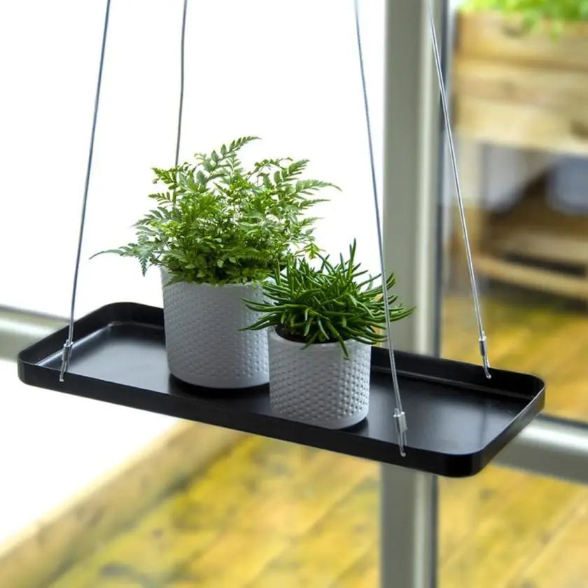 Rectangular Hanging Tray for Plants - Seedor