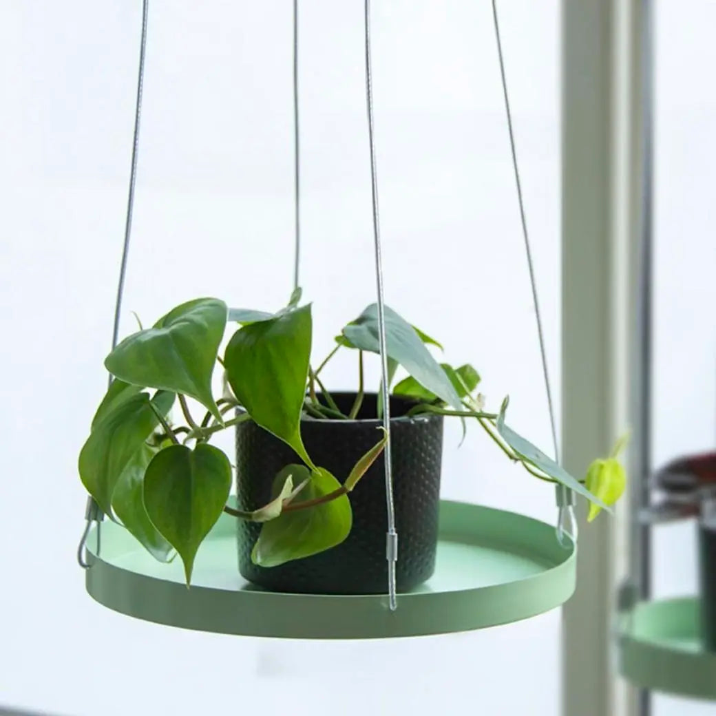 Round Hanging Tray for Plants - Large - Seedor